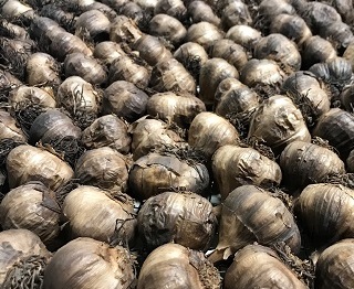 Le Petit Mas ail noir biologique VRAC