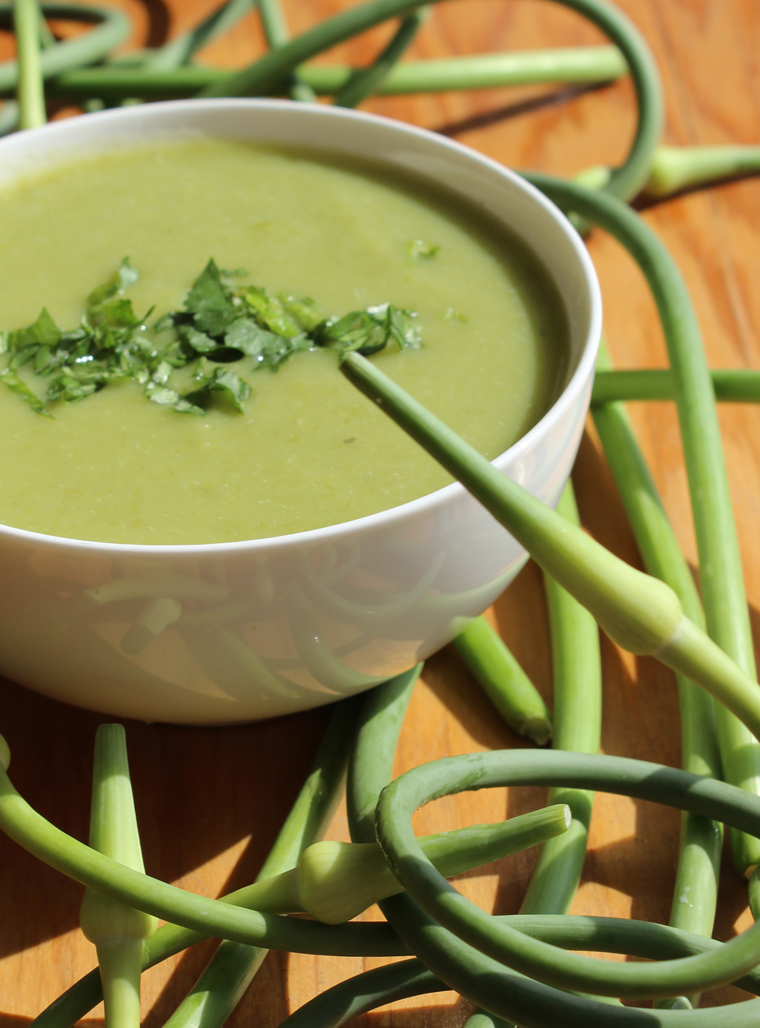 Potage aux fleurs d'ail fraiches - Recettes -  Le Petit Mas