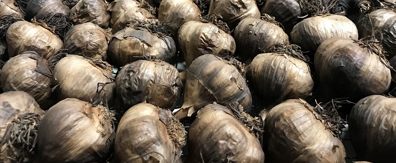 Ail noir biologique - Le Petit Mas producteurs d'ail biologique